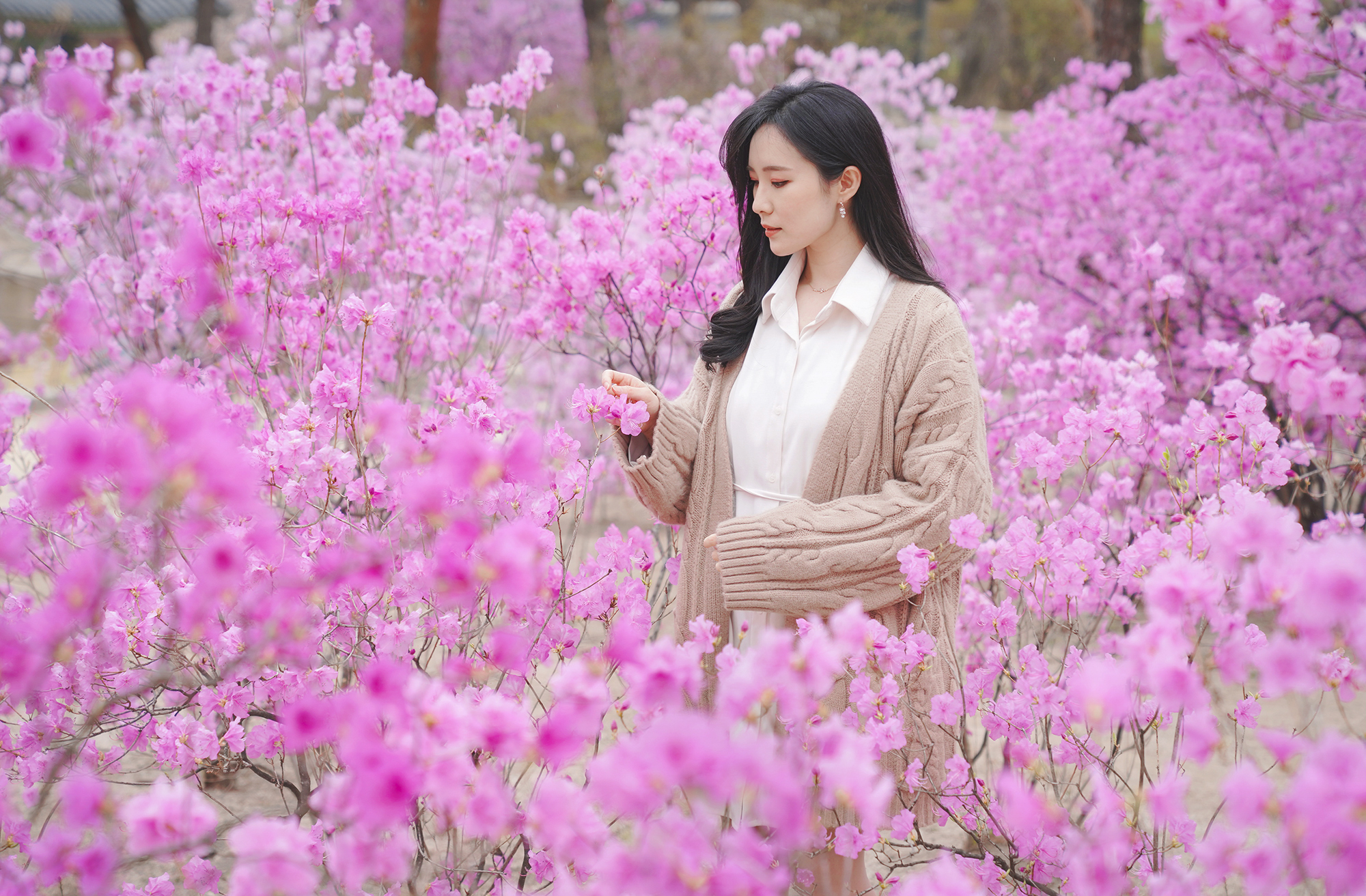 Cẩm nang cho người chơi hệ 'hoa lá cành' khi Hàn Quốc vào Xuân - Ảnh 15.