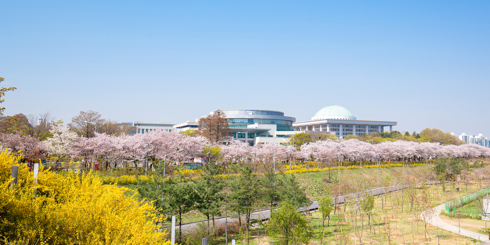 Cẩm nang cho người chơi hệ 'hoa lá cành' khi Hàn Quốc vào Xuân - Ảnh 6.