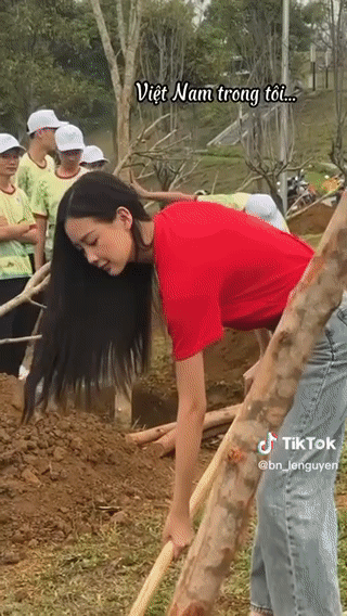 Bị chỉ trích 'tô vẽ làm màu' khi xoã tóc trồng cây tại Lai Châu, Hoa hậu Bảo Ngọc lên tiếng - Ảnh 3.