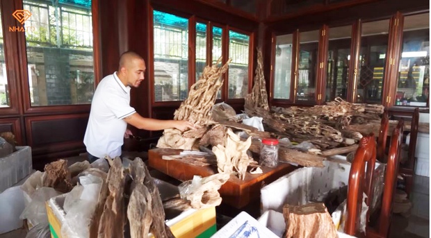 Cận cảnh những biệt phủ toàn gỗ của đại gia Việt: Sửng sốt với kho báu trầm hương tiền tỷ, chi đến 2 tỷ đồng/tháng chỉ để thuê người chăm vườn - Ảnh 4.