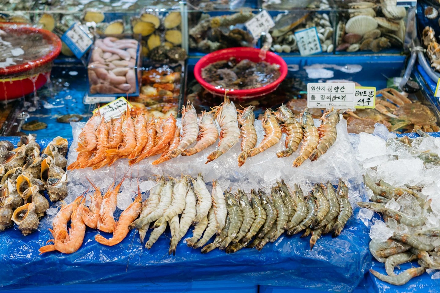 Cô gái Việt kể chuyện đi chợ hải sản tươi sống nổi tiếng Hàn Quốc: Có thể ăn ngay tại chợ luôn, 4 triệu đồng một bữa không gọi là đắt - Ảnh 4.
