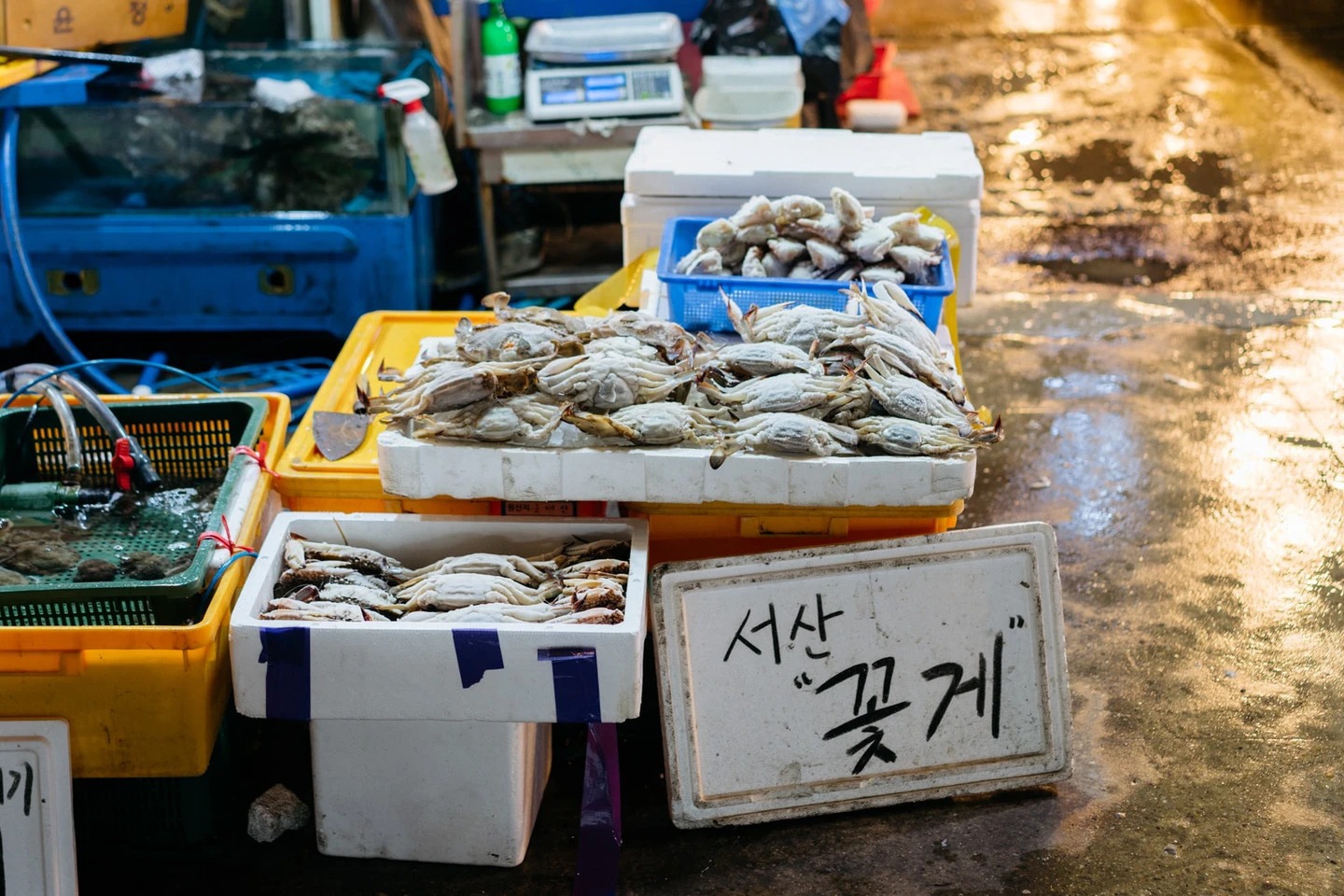 Cô gái Việt kể chuyện đi chợ hải sản tươi sống nổi tiếng Hàn Quốc: Có thể ăn ngay tại chợ luôn, 4 triệu đồng một bữa không gọi là đắt - Ảnh 5.