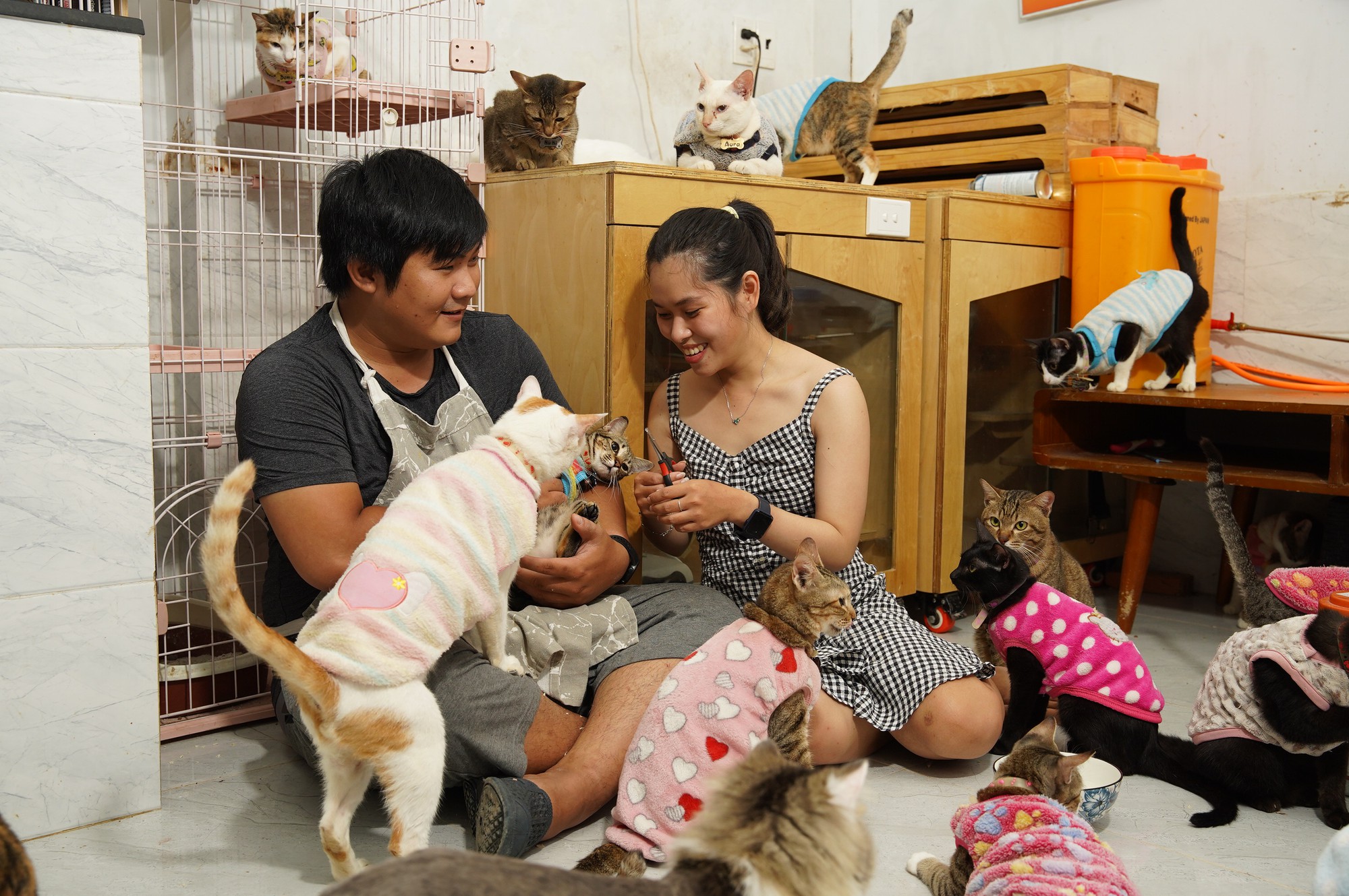 Đôi bạn trẻ dành hết số tiền cưới để thành lập trạm cứu hộ cho những chú mèo hoang - Ảnh 1.