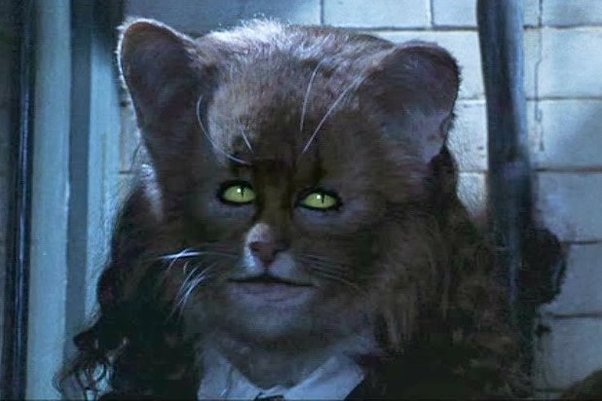Đúng là cú lừa: Nàng mèo Hermione ở Harry Potter không phải Emma Watson, sau lớp mặt nạ là mỹ nhân đẹp chả thua kém - Ảnh 1.