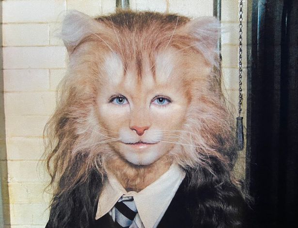 Đúng là cú lừa: Nàng mèo Hermione ở Harry Potter không phải Emma Watson, sau lớp mặt nạ là mỹ nhân đẹp chả thua kém - Ảnh 2.