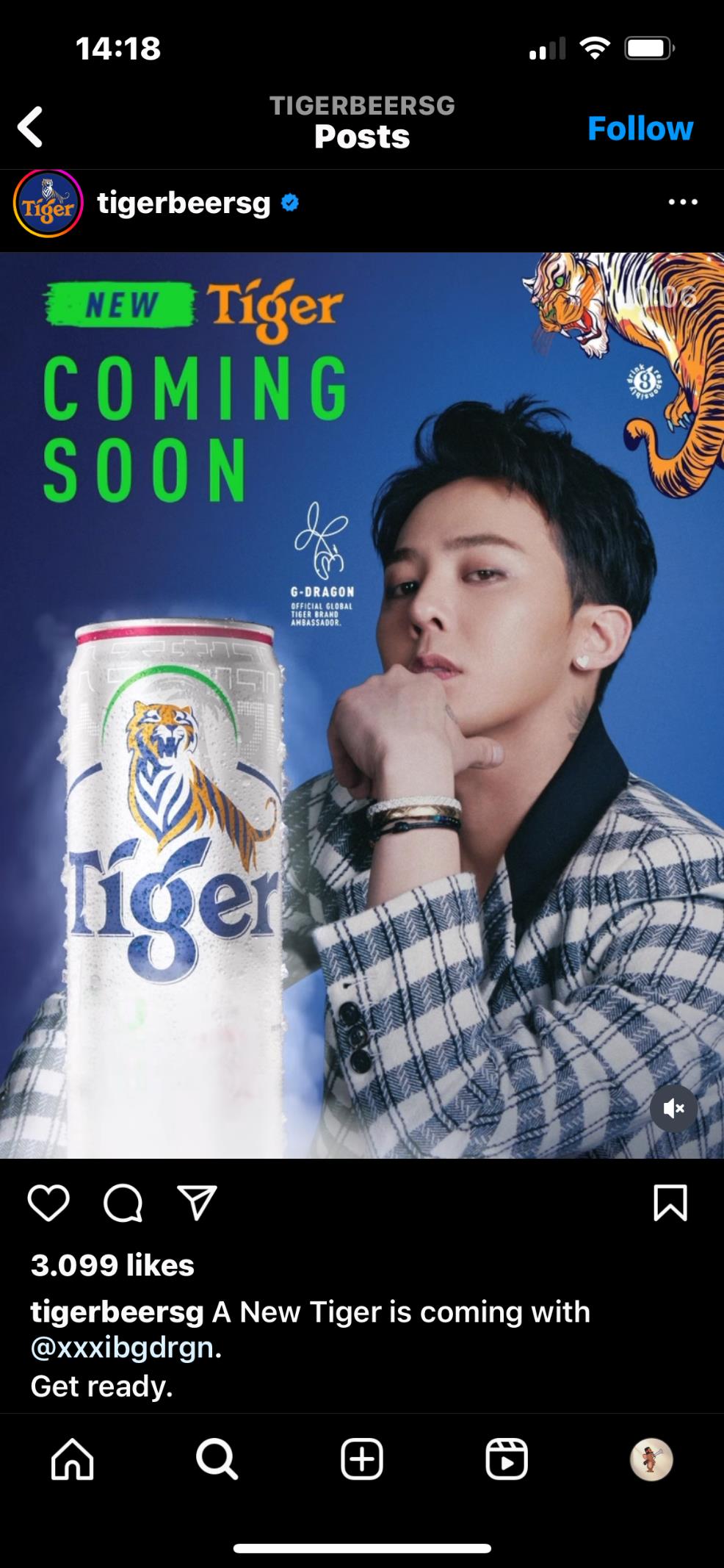 Chưa đến Cá Tháng Tư, Tiger Beer nửa đùa nửa thật gắn luôn G-Daisy lên poster, lại có biến gì đây chăng? - Ảnh 1.