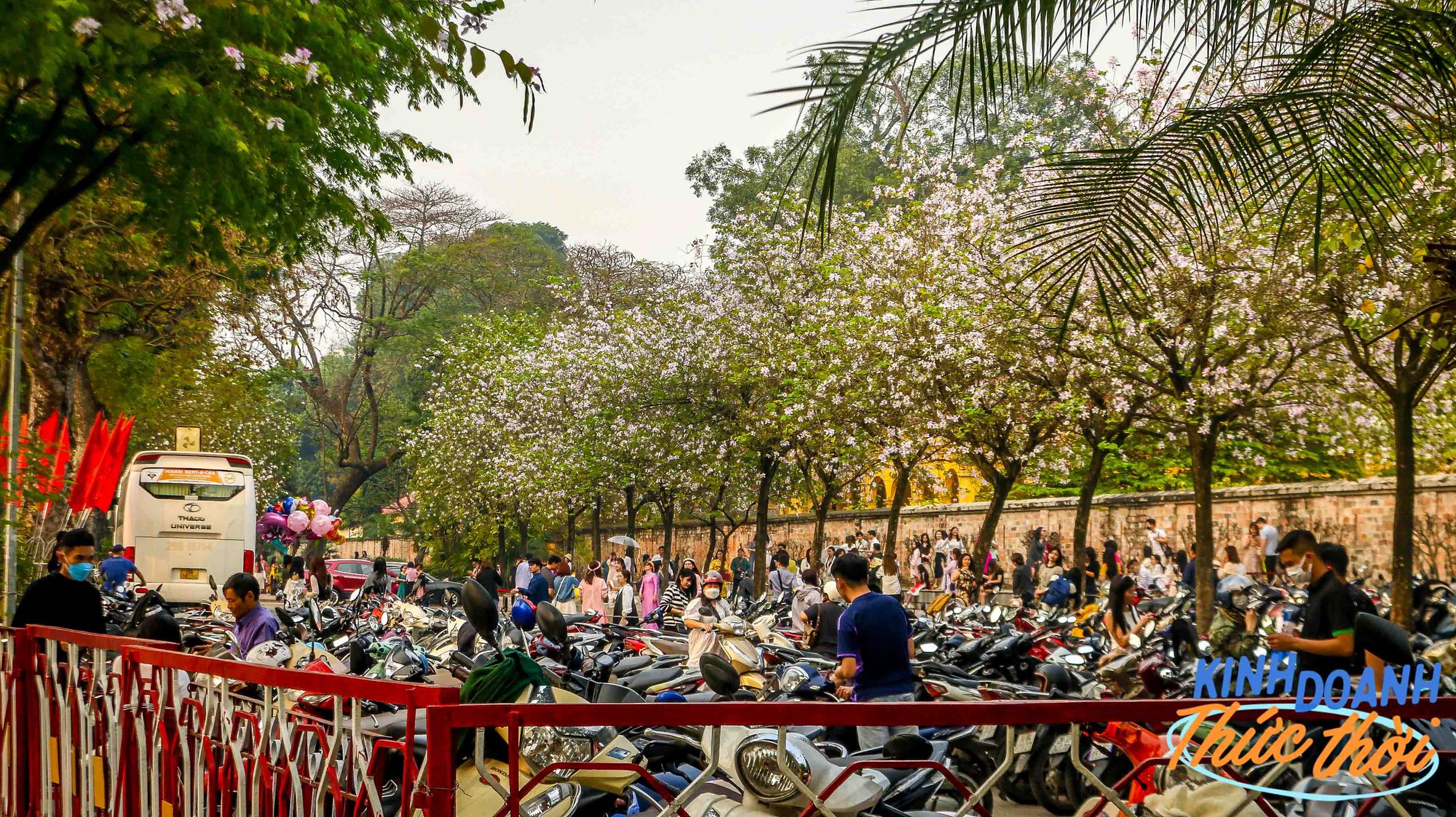 “Giải mã” lời đồn thợ ảnh bỏ túi 100 triệu/tháng nhờ muôn hoa khoe sắc khắp phố phường thủ đô - Ảnh 2.