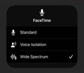 Chỉ mất vài giây để bật tính năng ẩn này trên iPhone, cuộc gọi FaceTime sẽ nghe rõ ràng hơn - Ảnh 7.