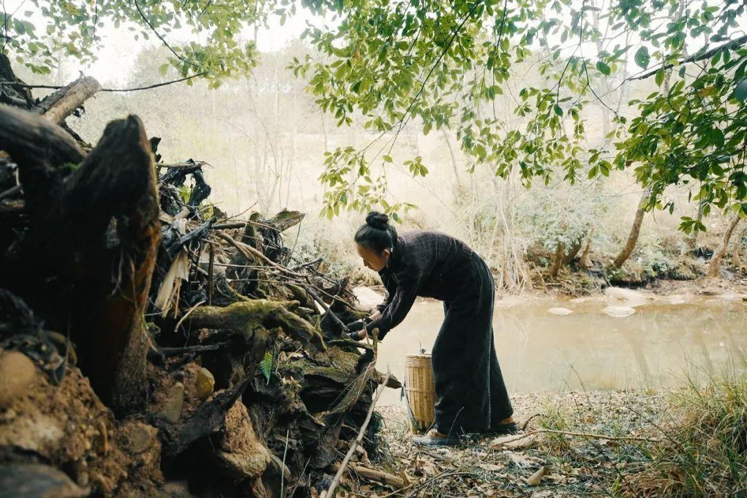 Chán thành phố, cô gái lên núi tự tay khai phá 12.000m2 đất hoang thành thiên đường riêng: Trồng rau, nuôi gà thú vị hơn ngồi “gõ phím di chuột” - Ảnh 4.