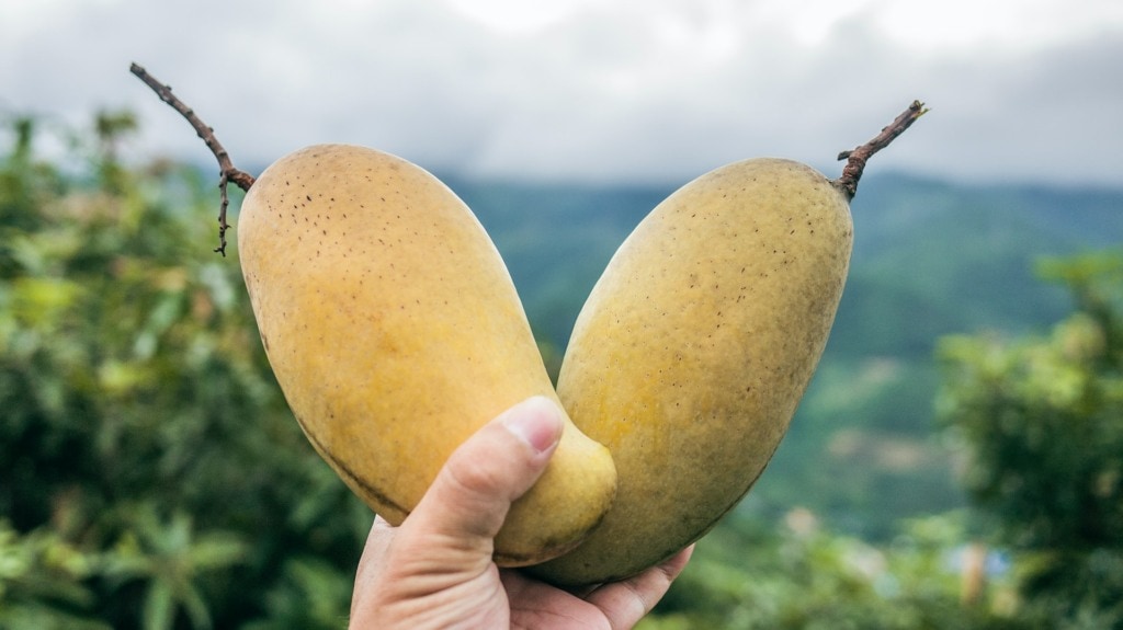 Chuyên trang du lịch nêu 8 loại quả ngon nhất của Việt Nam: Quả được mệnh danh là vua trái cây lại khiến nhiều người e ngại - Ảnh 6.