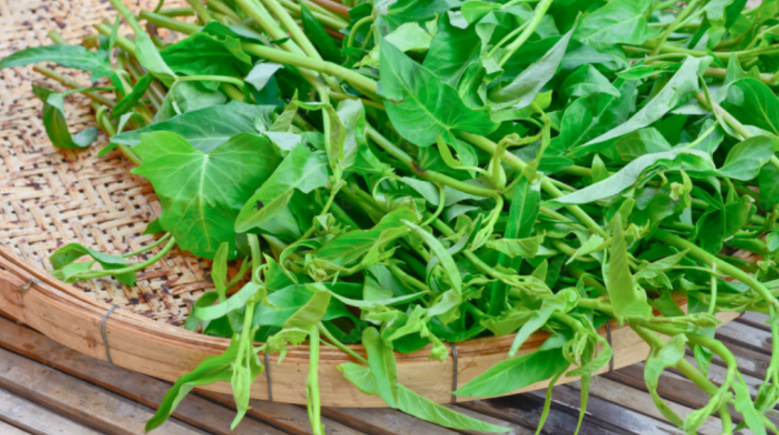 Loại rau rẻ bèo bán đầy chợ Việt nhưng bị cấm tại nhiều bang của Mỹ ...