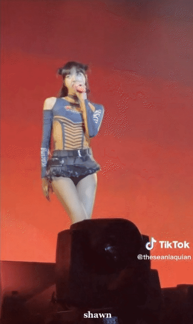 Lisa (BLACKPINK) gây tranh cãi vì biểu diễn trong váy ngắn cũn cỡn hơn cả quần bảo hộ - Ảnh 2.