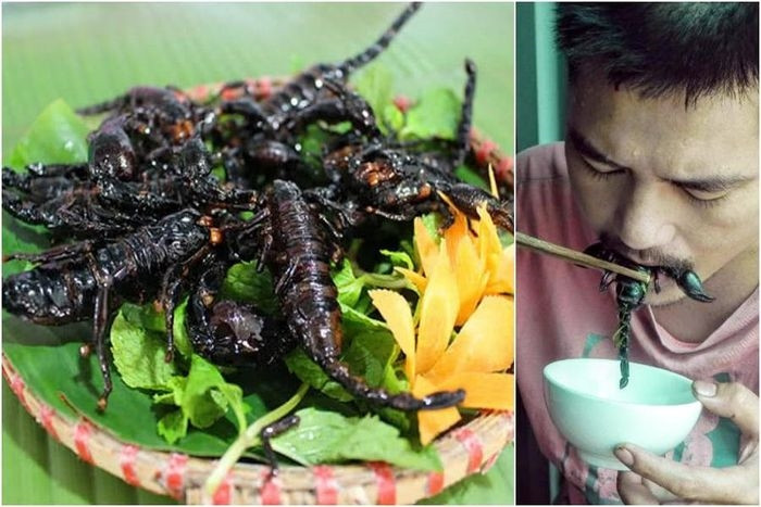 Khách Tây ăn thử một món từ côn trùng Việt Nam rồi nhận xét: Ban đầu có thể sợ nhưng sau chắc chắn sẽ nghiện! - Ảnh 7.