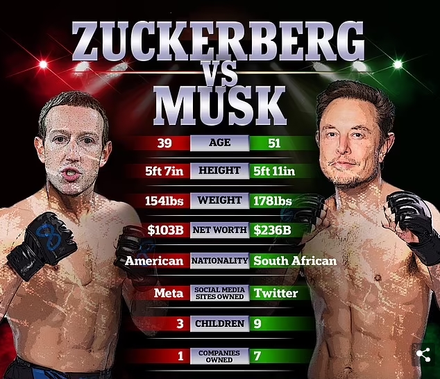 Elon Musk được ngôi sao võ thuật 'tiếp sức' trước cuộc thượng đài Mark Zuckerberg - Ảnh 2.