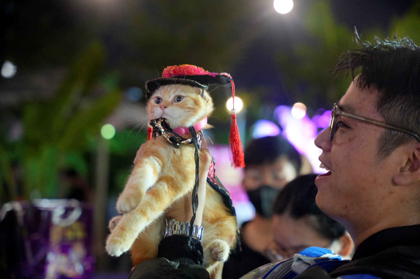 Mars Petcare Việt Nam tổ chức ngày hội thú cưng “Dạ tiệc đỉnh - Boss si mê” - Ảnh 4.