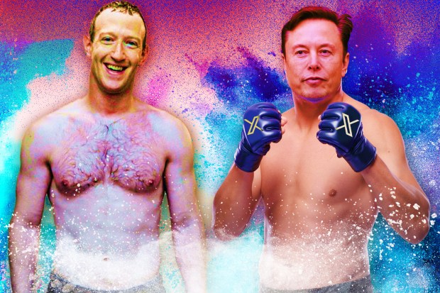 Được 3 cao thủ huấn luyện, Elon Musk tuyên bố về trận đấu với ‘ông trùm Facebook’ khiến CĐV hào hứng - Ảnh 3.