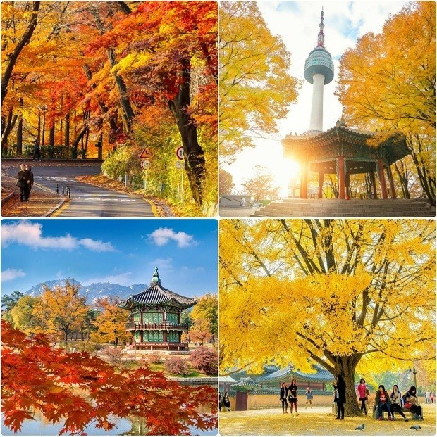 Vẻ đẹp của Daegu - Hàn Quốc trong Lễ hội FANTASIA DAEGU FESTA 2023 - Ảnh 3.