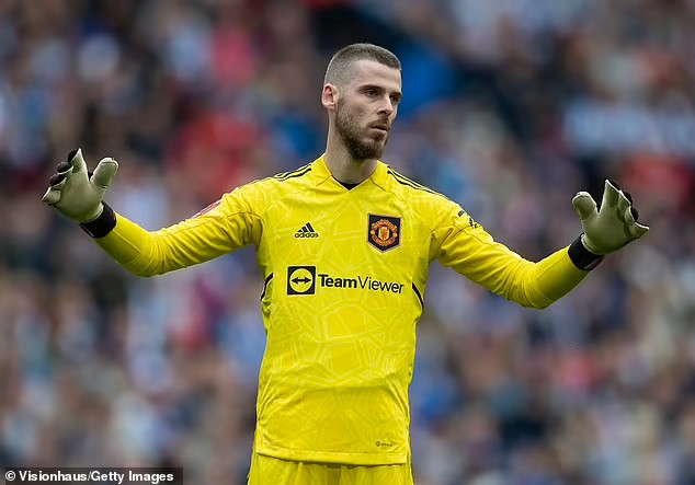 De Gea có thể nghỉ hưu sớm - Ảnh 2.