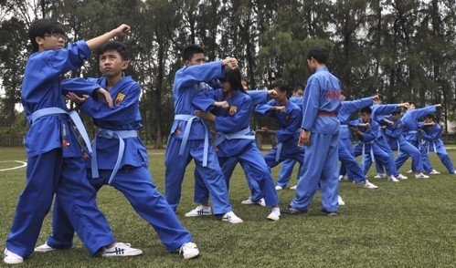 Câu chuyện 'con thuyền' và sự phát triển chung của Vovinam Việt Nam - Ảnh 2.