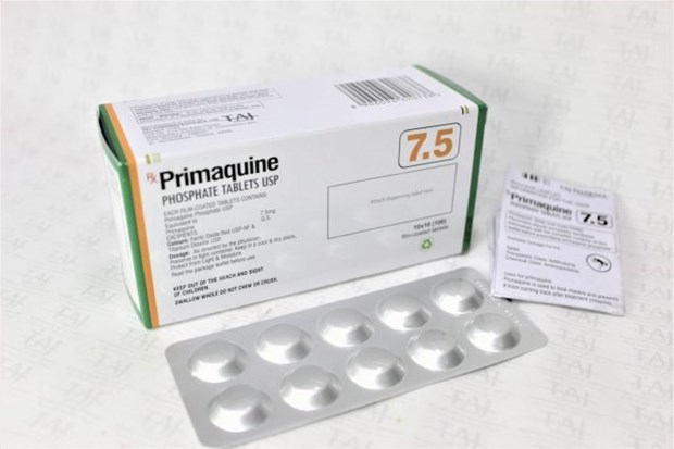 Hiệu quả của sử dụng thuốc chống sốt rét primaquine liều cao - Ảnh 1.