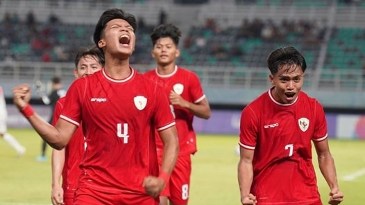 Link xem trực tiếp bóng đá Indonesia vs Nhật Bản 19h00 ngày 15/11, VL World Cup 2026 khu vực châu Á