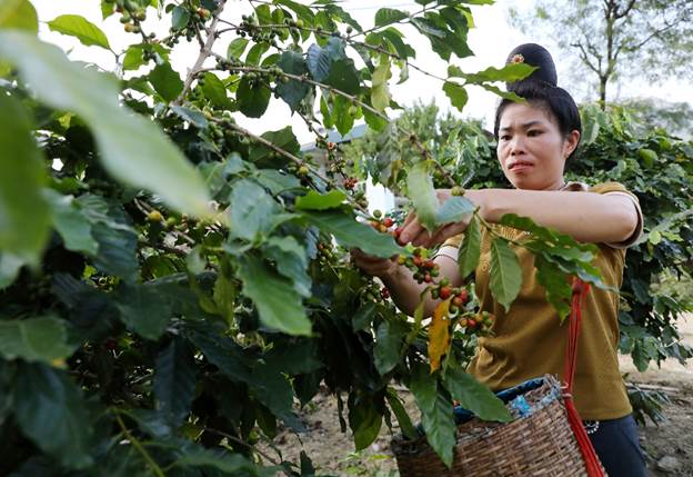 Quỹ Vì Tầm Vóc Việt: &quot;Mô hình hành động tập thể&quot; tạo thay đổi tích cực và bền vững cho cộng đồng - Ảnh 11.