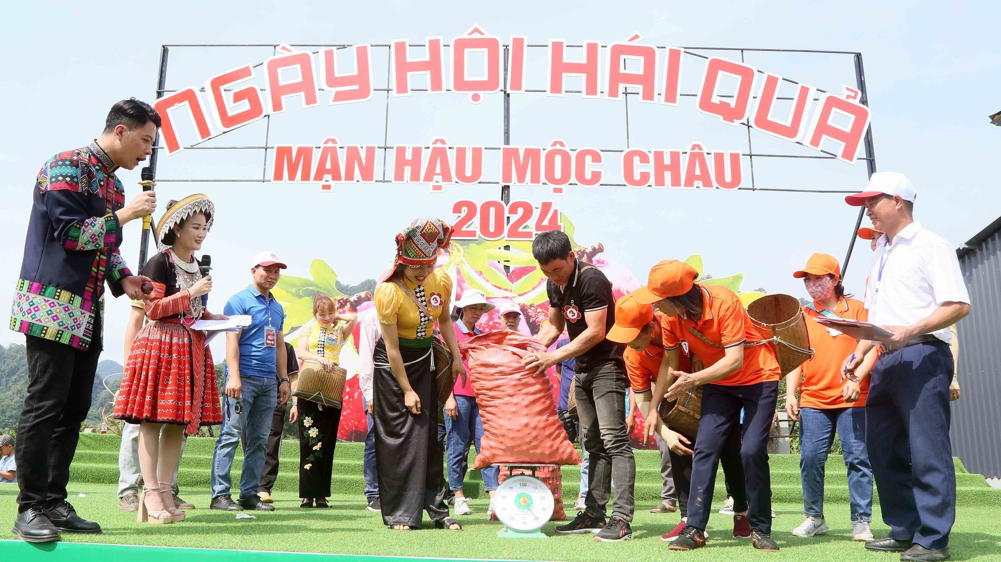 Ngày hội hái quả mận hậu Mộc Châu 2024