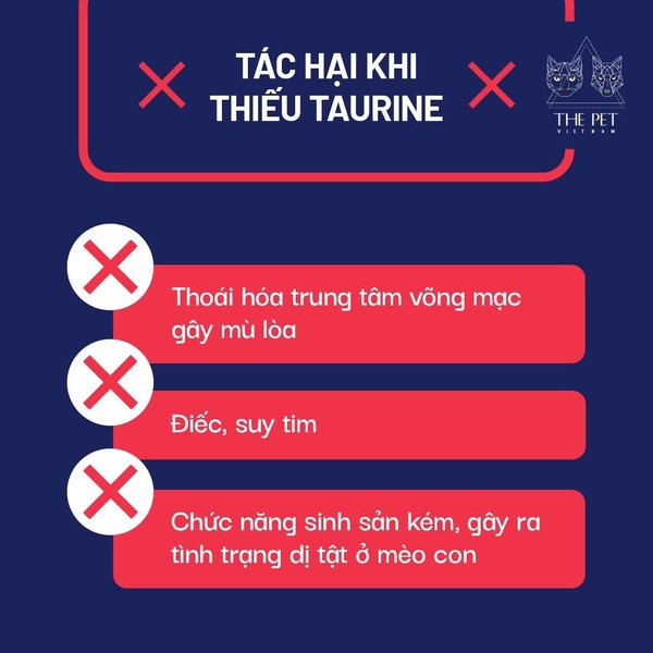 Bí quyết cho chó mèo tăng cân mà vẫn săn chắc, khoẻ mạnh - Ảnh 3.