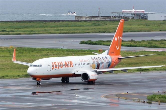 Hàn Quốc: Hãng hàng không Jeju Air sẽ tạm ngừng vận chuyển hàng hóa - Ảnh 1.