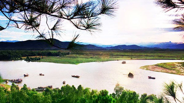 Chữ và nghĩa: Củi một cành khô lạc mấy dòng