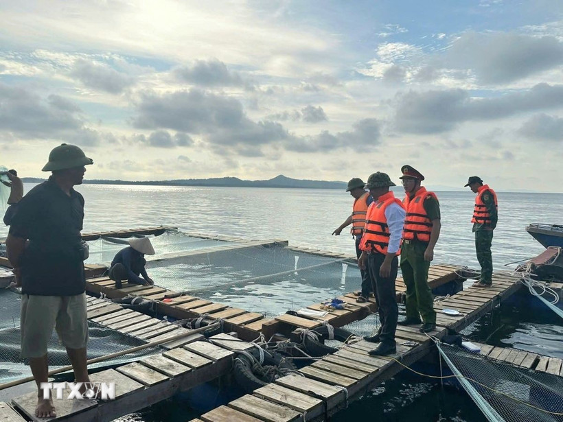 Từ Quảng Ninh đến Lâm Đồng chủ động ứng phó với bão số 12 - Ảnh 1.
