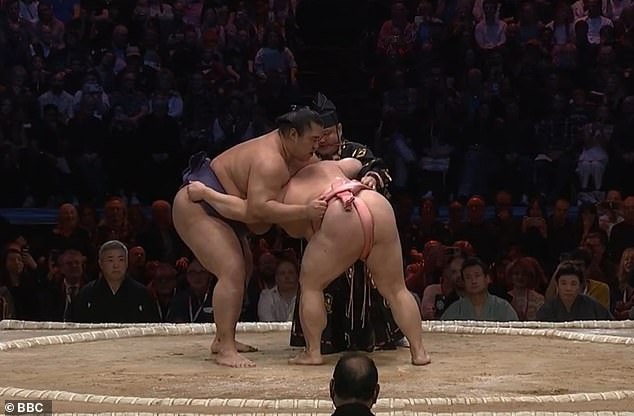 Bí mật 'khó nói' sau sàn đấu SUMO: Tình yêu, scandal và cuộc sống khắc nghiệt của những người khổng lồ Nhật - Ảnh 2.