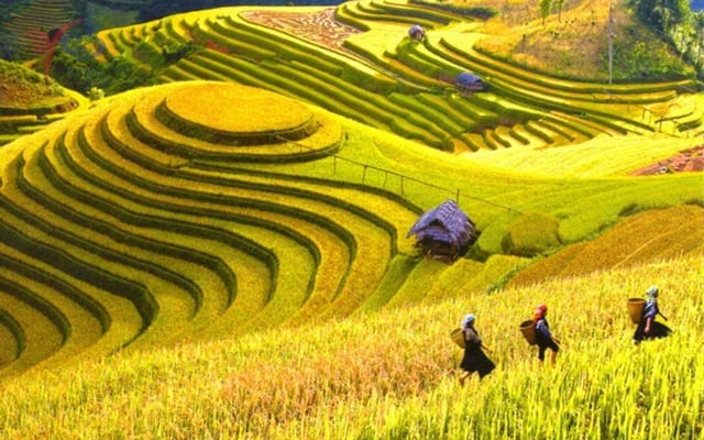 4 địa điểm đẹp quên lối về nhất định phải đến miền Bắc mùa này - Ảnh 4.