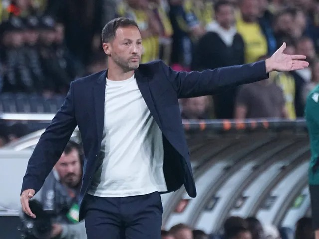 Nhận định, soi tỷ lệ Fenerbahce vs Stuttgart 23h45 ngày 23/10, vòng phân hạng Europa League - Ảnh 1.