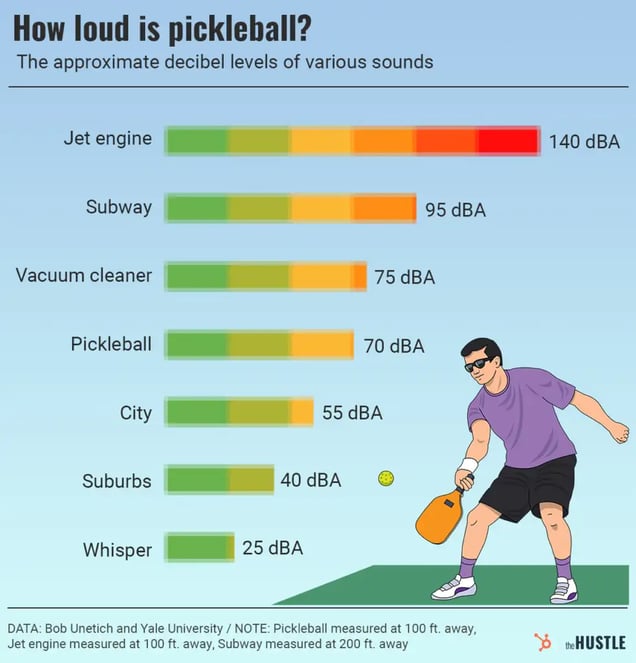 Tiếng ồn từ pickleball là âm thanh gây khó chịu nhất với thính giác con người - Ảnh 2.