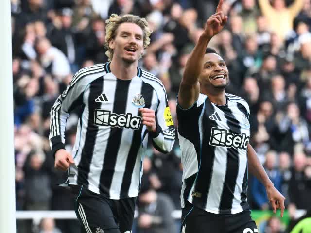 Nhận định, soi tỷ lệ Newcastle vs Tottenham 03h00 ngày 30/10, Cúp Liên đoàn Anh - Ảnh 1. Nhận định, soi tỷ lệ Newcastle vs Tottenham 03h00 ngày 30/10, Cúp Liên đoàn Anh - Ảnh 1.