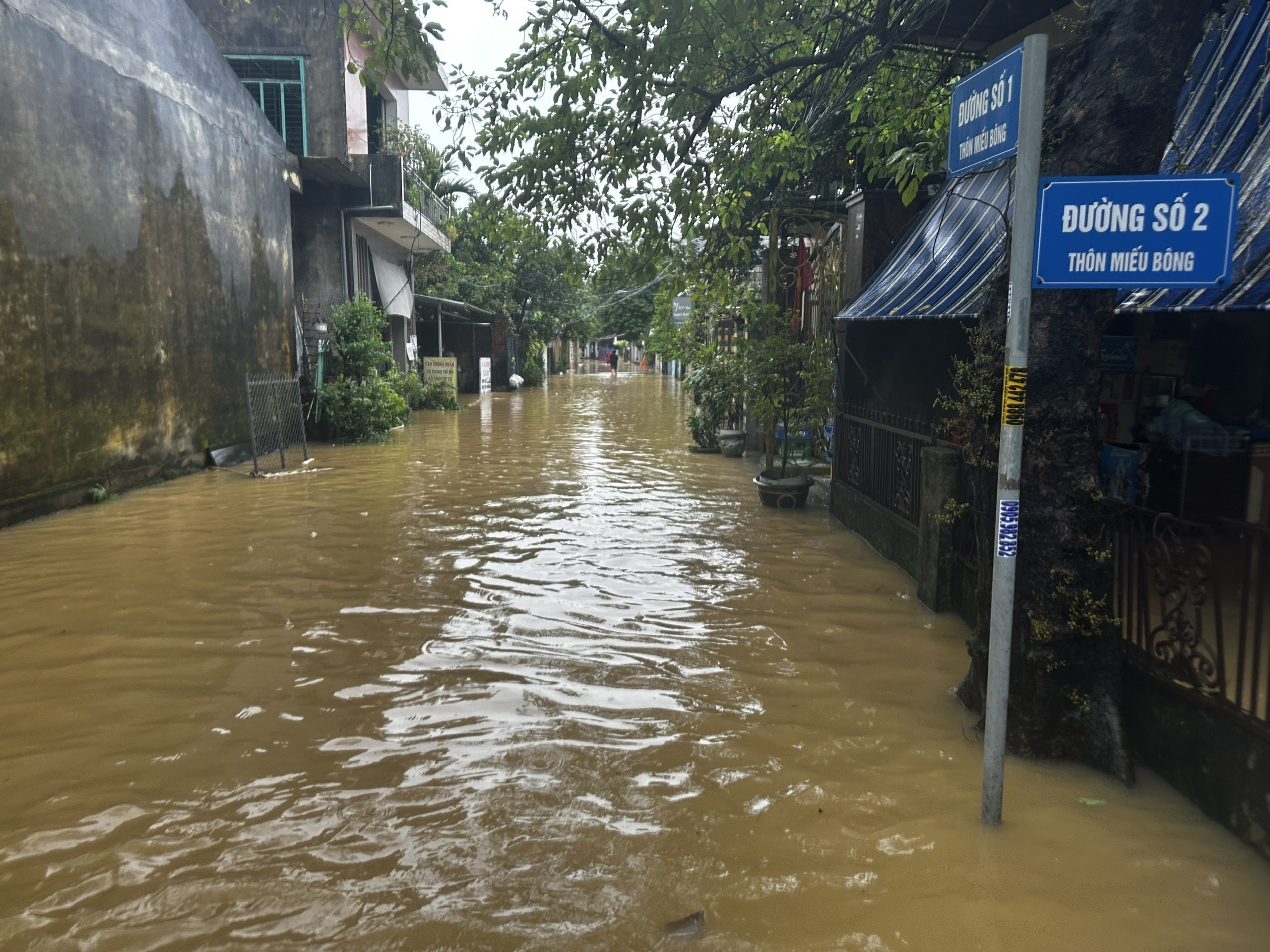 Đà Nẵng khẩn trương hỗ trợ dân ứng phó mưa lũ - Ảnh 6. Đà Nẵng khẩn trương hỗ trợ dân ứng phó mưa lũ - Ảnh 6.