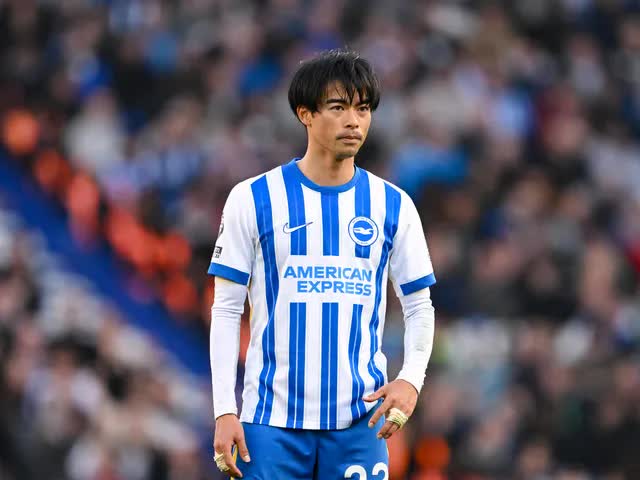 Nhận định, soi tỷ lệ Wolves vs Brighton 20h00 ngày 5/10, Ngoại hạng Anh - Ảnh 1.
