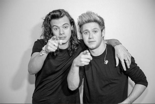 One Direction tái hợp sau một thập kỷ, thực hiện dự án trị giá nhiều triệu bảng Anh với Netflix - Ảnh 7.