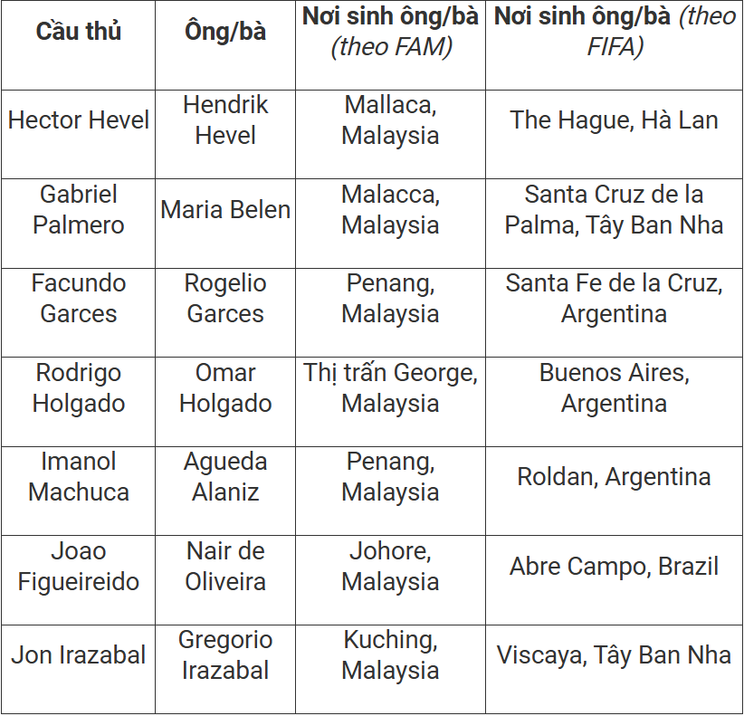 Sự thật việc FIFA tranh cãi với LĐBĐ Malaysia về dàn sao nhập tịch: Tờ giấy khai sinh tiết lộ chứng cứ quan trọng - Ảnh 2.