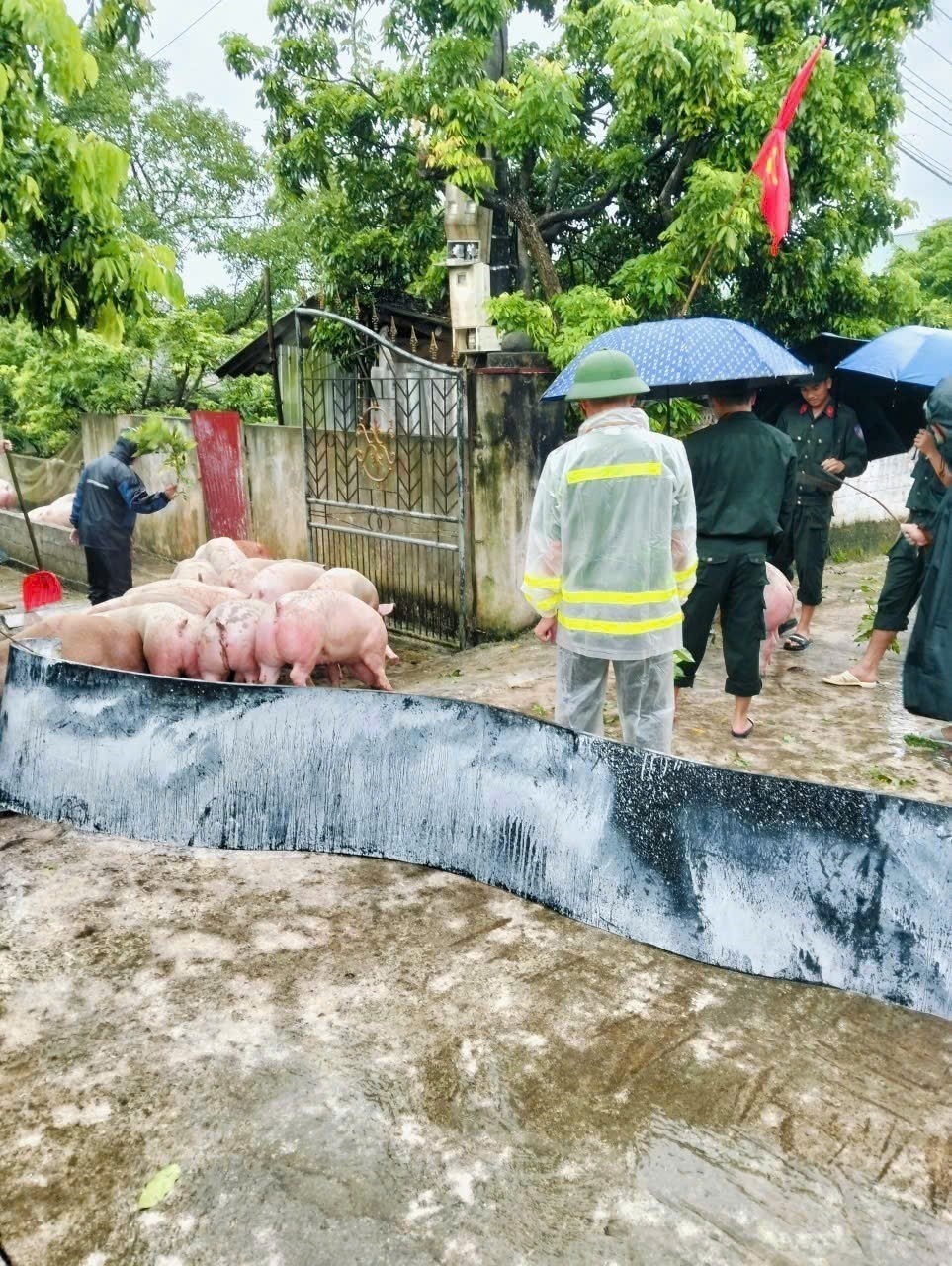 Mưa lớn, nhiều xã tại Bắc Ninh bị ngập úng cục bộ, cô lập trong nước lũ - Ảnh 10.