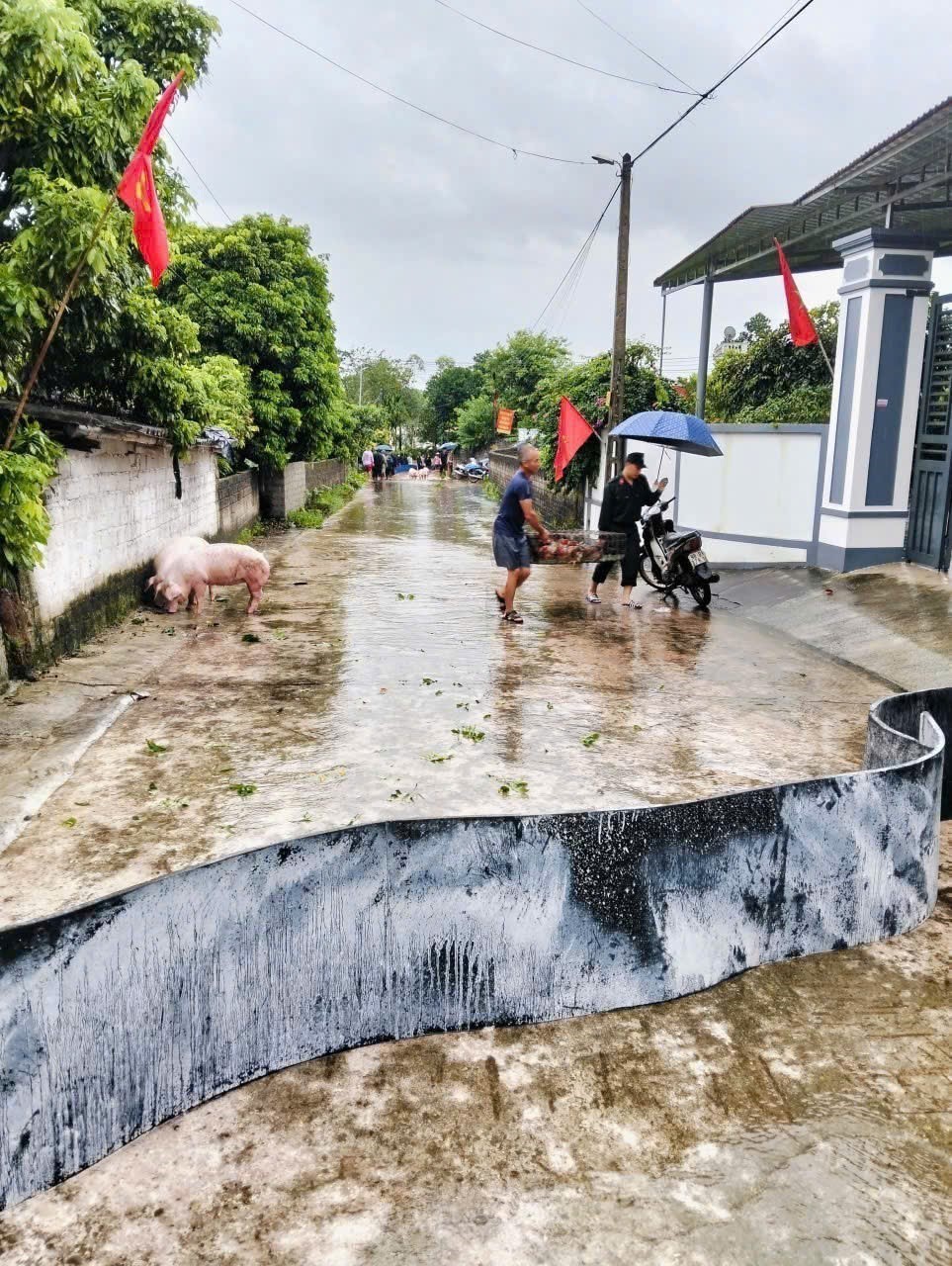 Mưa lớn, nhiều xã tại Bắc Ninh bị ngập úng cục bộ, cô lập trong nước lũ - Ảnh 8.