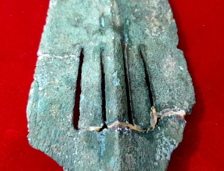 3b-17599694058781463847359.jpg
