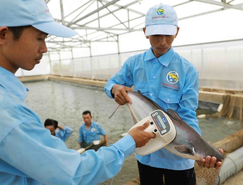 Ngày Chuyển đổi số quốc gia (10/10): &quot;Nhanh hơn, hiệu quả hơn, gần dân hơn&quot; - Ảnh 1.