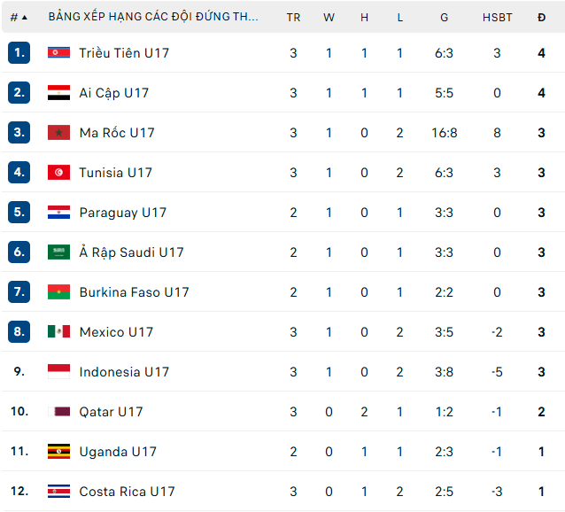 Bóng đá Indonesia chính thức làm nên lịch sử ở đấu trường World Cup - Ảnh 2.