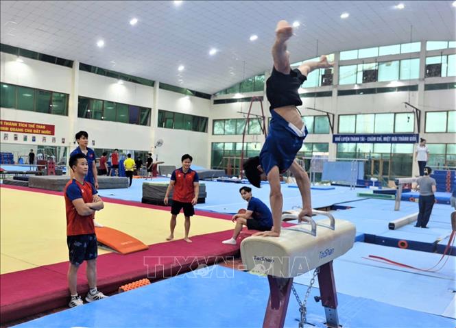Đoàn Thể thao Việt Nam dự SEA Games 33 sẽ sang Thái Lan ngày 7/12, sắp chốt danh sách VĐV - Ảnh 2.