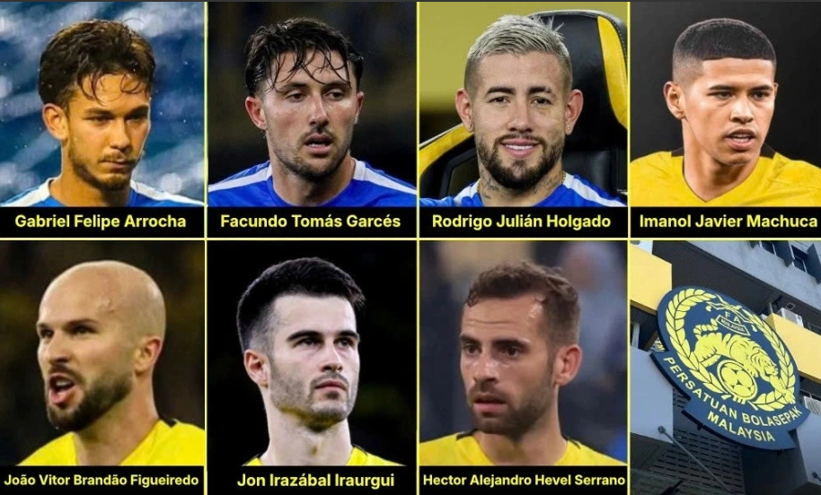 Tin nóng thể thao sáng 19/11: Phụ công bóng chuyền Việt Nam xuất ngoại sau Thanh Thúy vừa lập thành tích xuất sắc - Ảnh 4. Tin nóng thể thao sáng 19/11: Phụ công bóng chuyền Việt Nam xuất ngoại sau Thanh Thúy vừa lập thành tích xuất sắc - Ảnh 4.