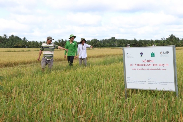 Đằng sau những đám khói trắng: Tác nhân "thầm lặng" của ô nhiễm không khí - Ảnh 4. Đằng sau những đám khói trắng: Tác nhân "thầm lặng" của ô nhiễm không khí - Ảnh 4.