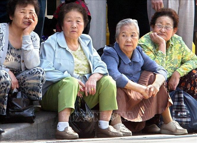 Nghề của tương lai trong xã hội đang già hóa tại xứ Hàn - Ảnh 1. Nghề của tương lai trong xã hội đang già hóa tại xứ Hàn - Ảnh 1.