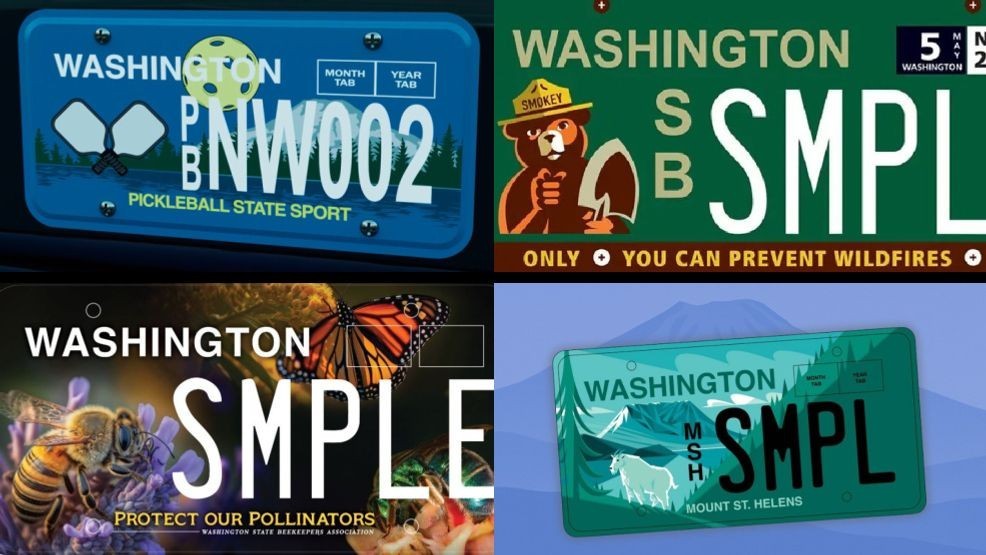 Ra mắt biển số xe được luật thông qua, dành riêng cho pickleball - Ảnh 2.